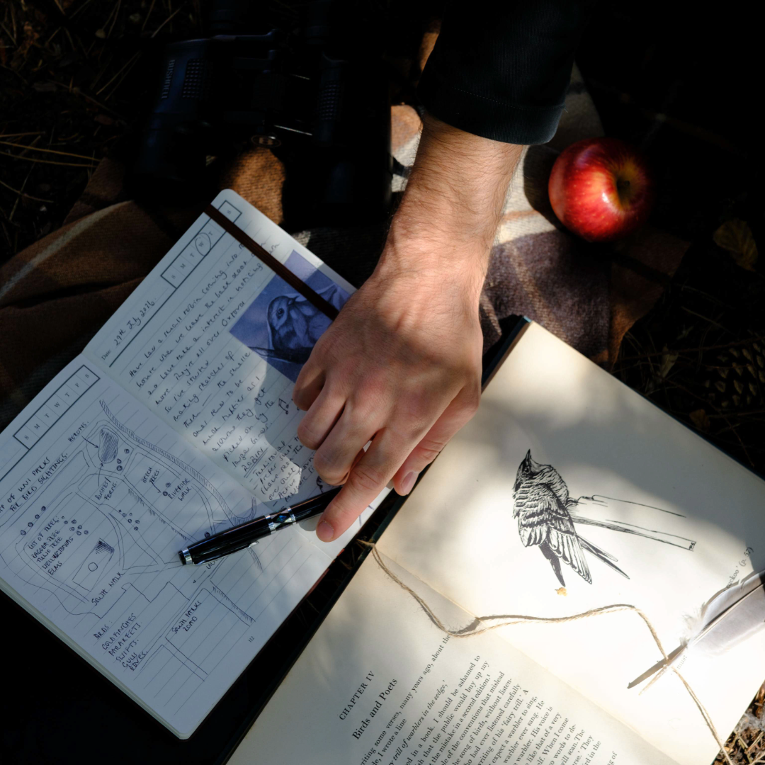 The Evolution of Nature Journaling – And Why It Could Be For You