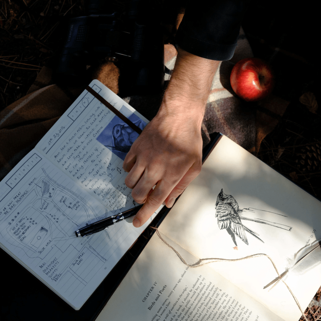 The Evolution of Nature Journaling – And Why It Could Be For You - Wykeham’s