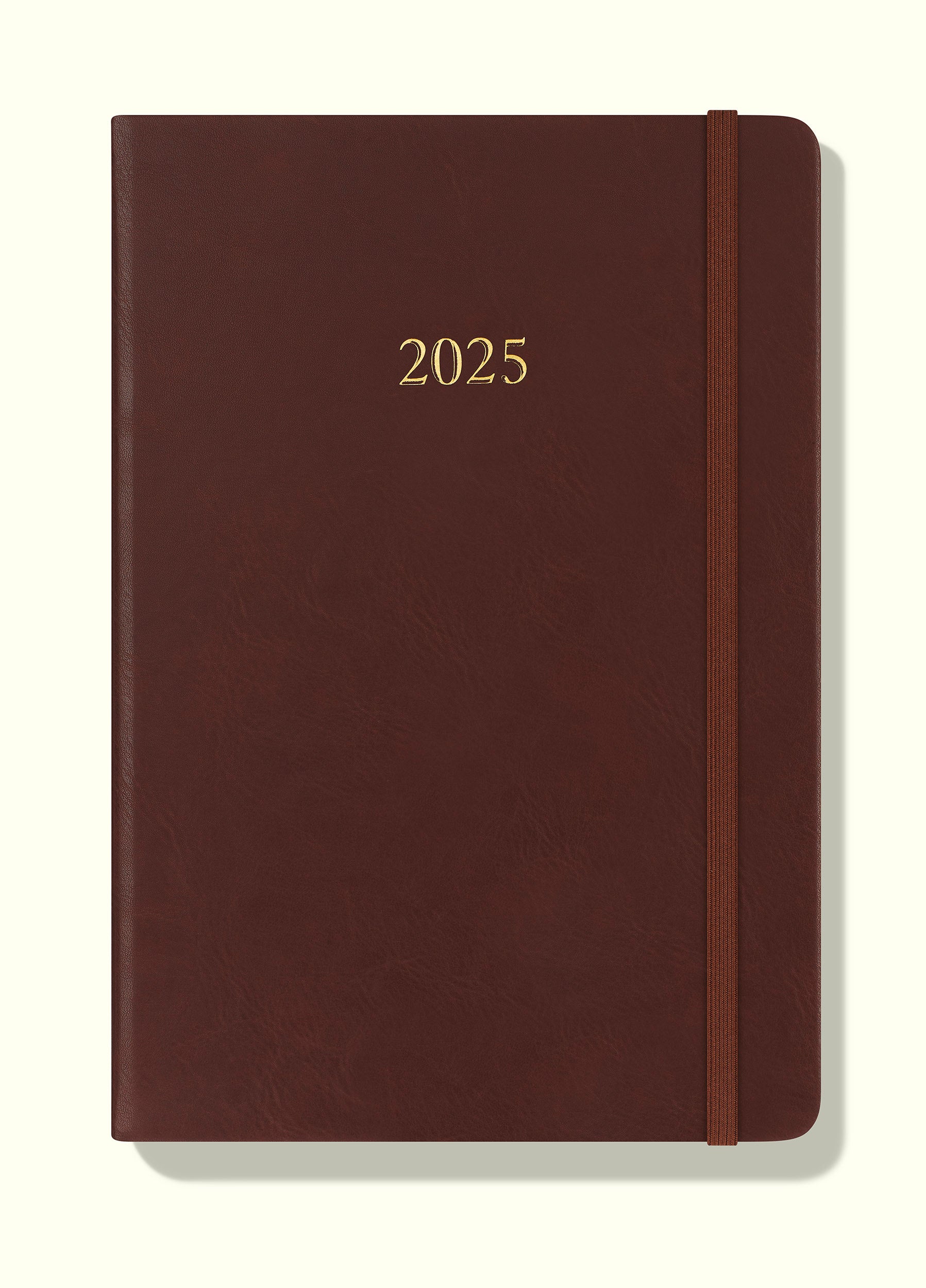 The Executive Journal – 2025 Daily Planner and Diary