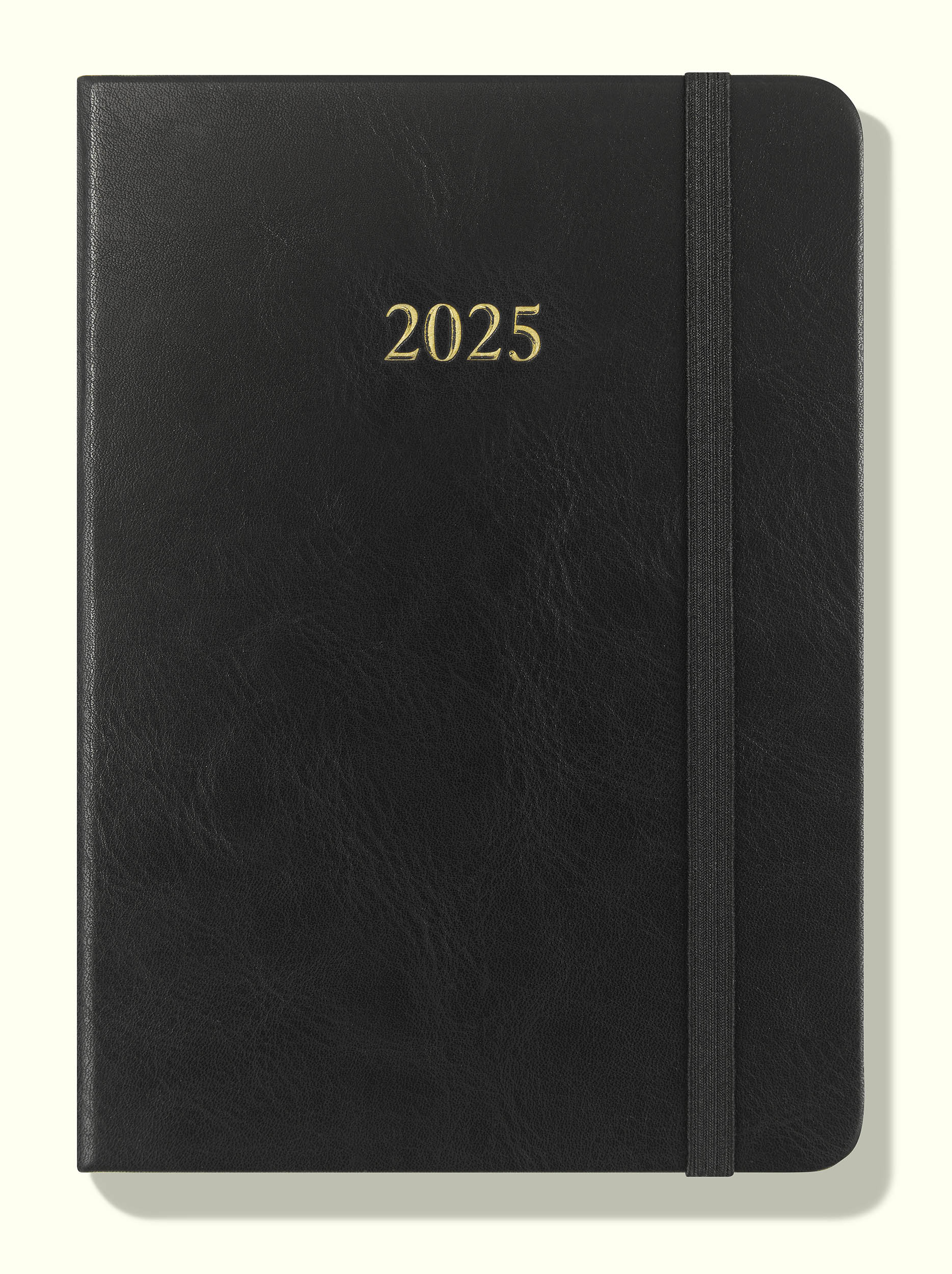 The Executive Journal – 2025 Daily Planner and Diary