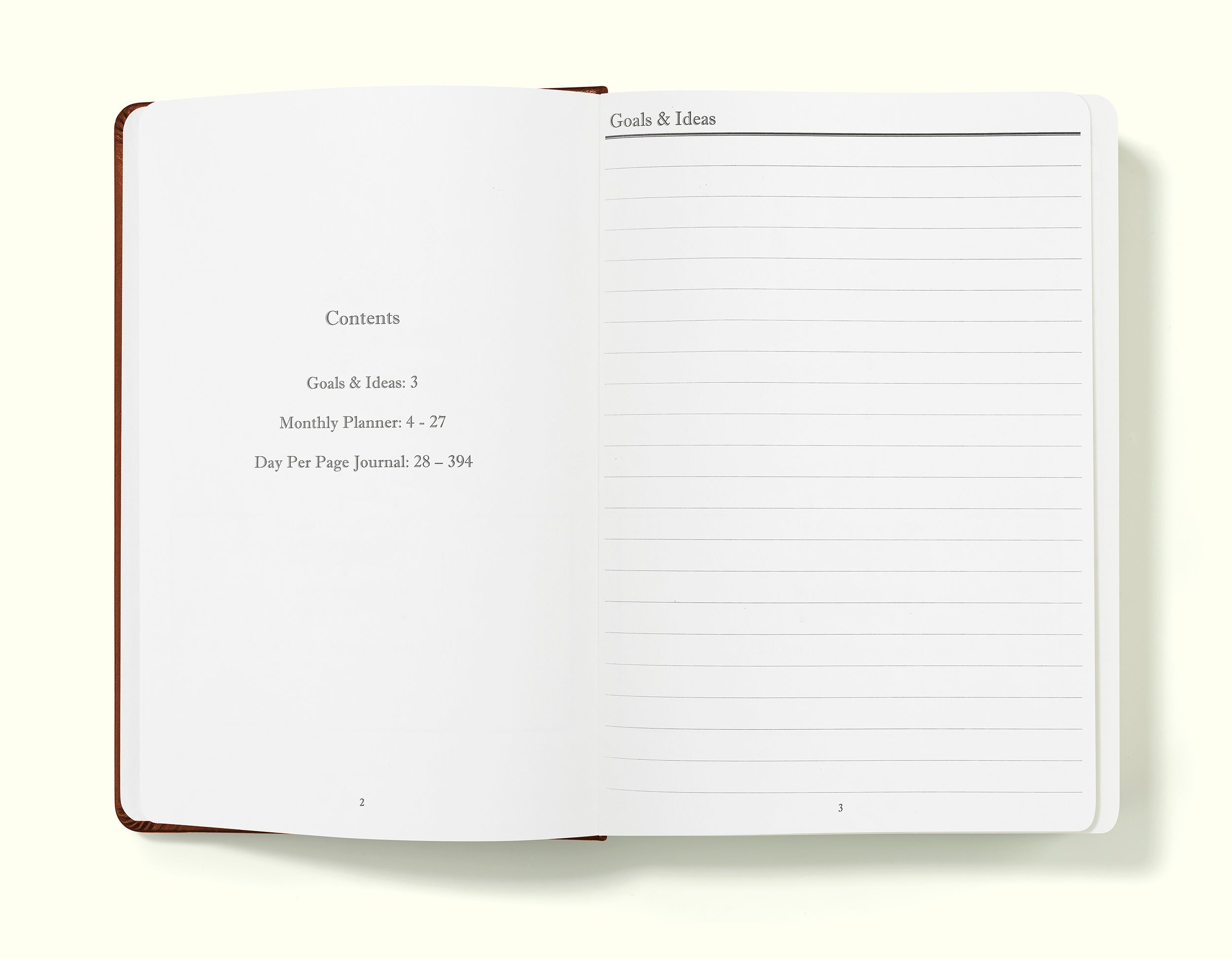 The Executive Journal – 2025 Daily Planner and Diary