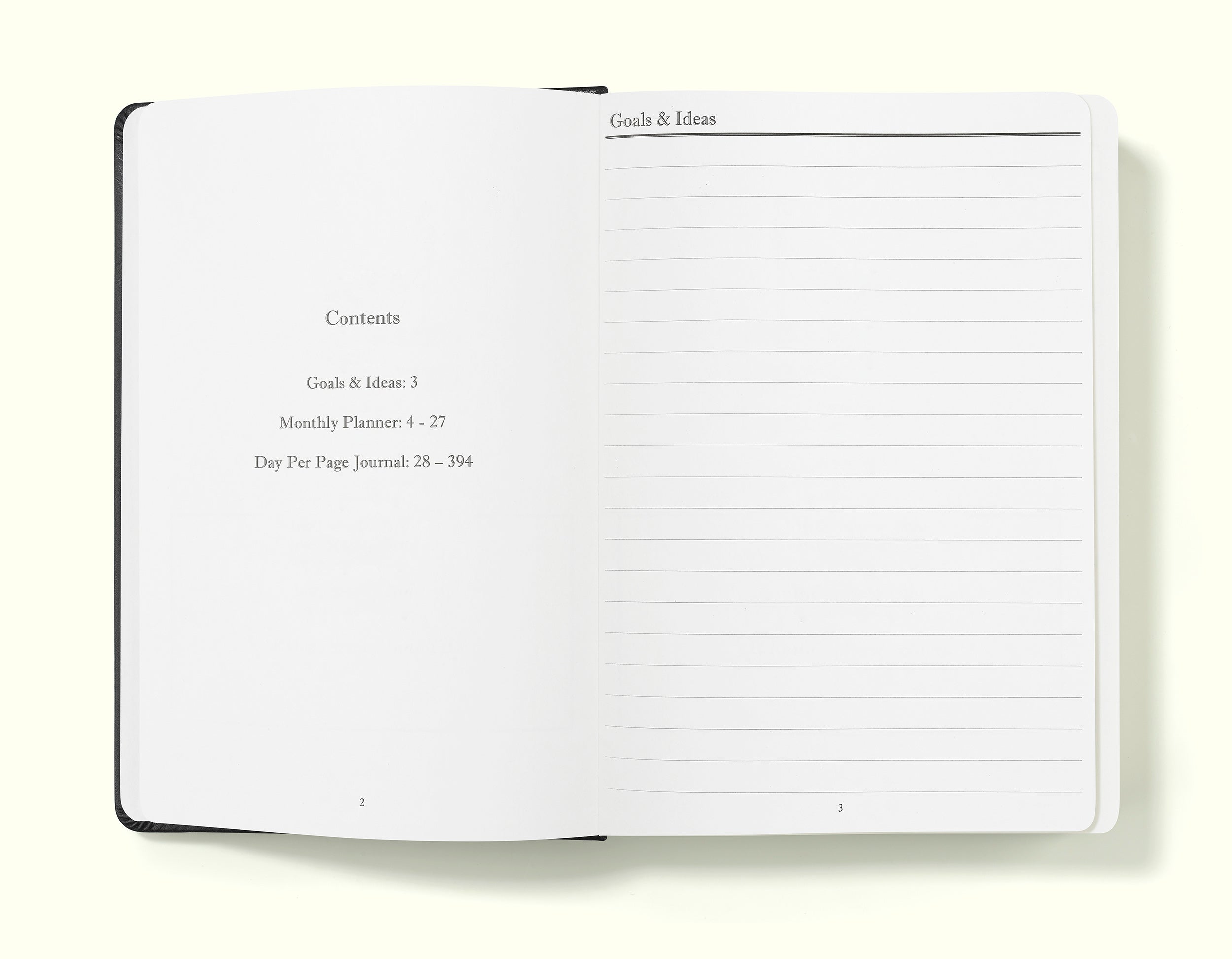 The Executive Journal – 2025 Daily Planner and Diary