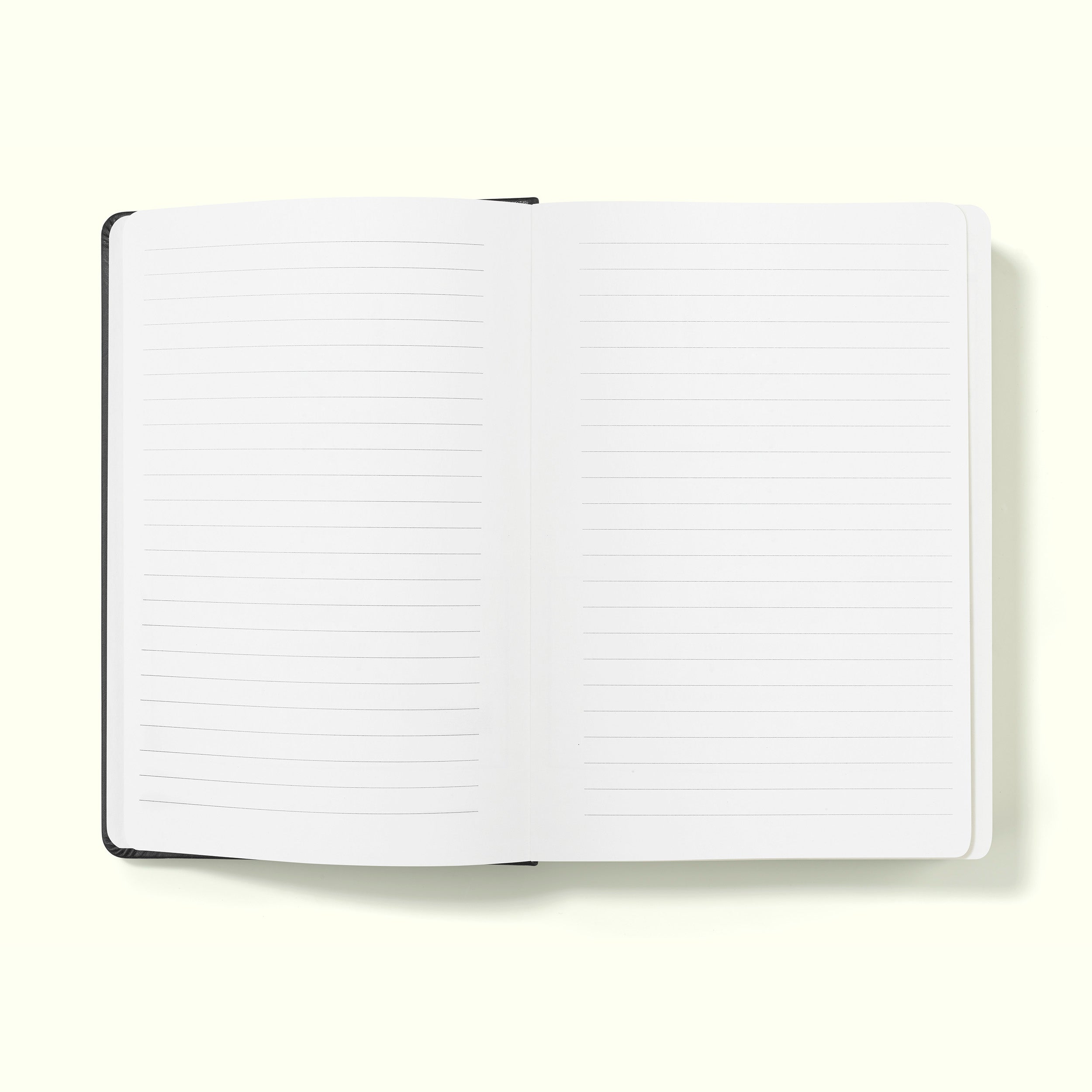 The Executive Notebook