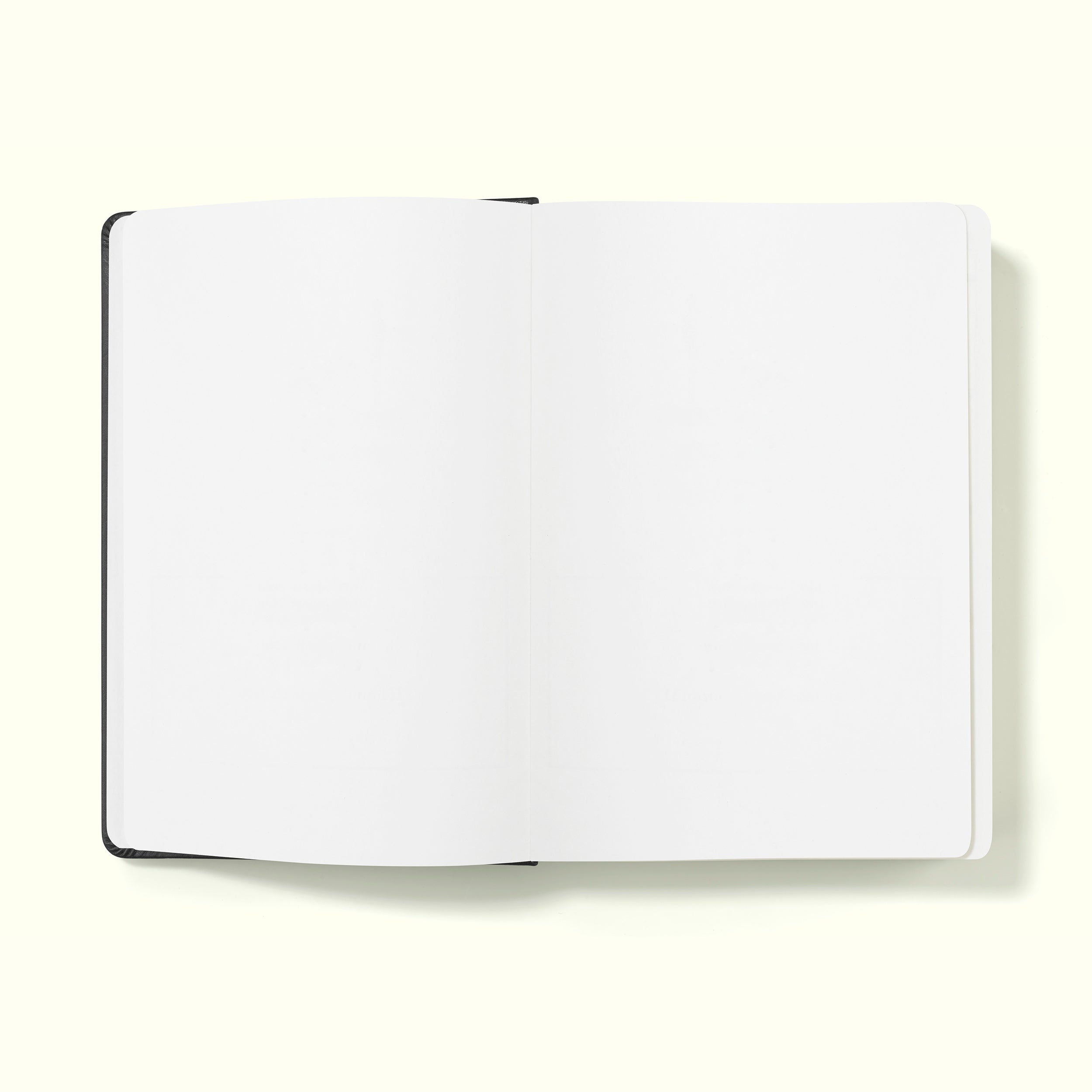 The Executive Notebook