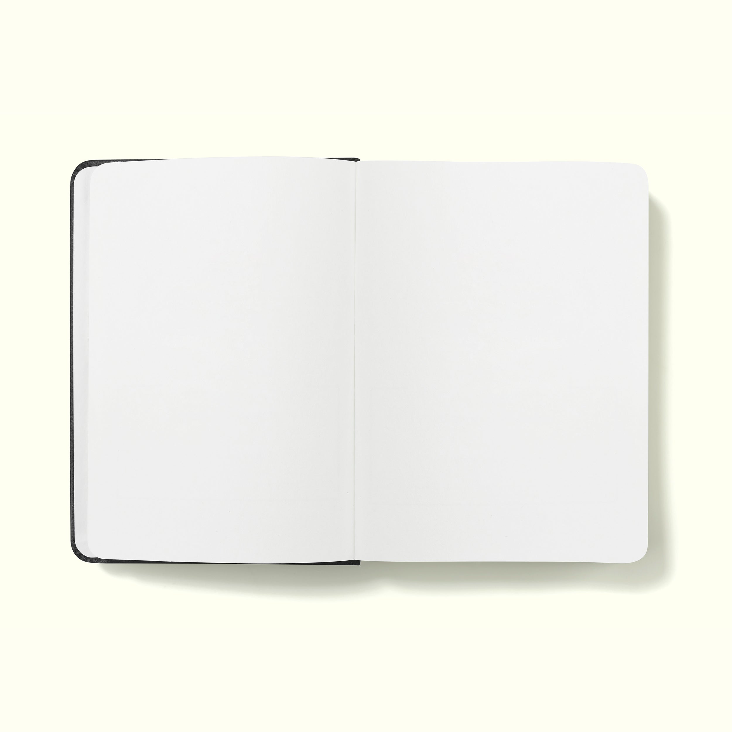 The Executive Notebook