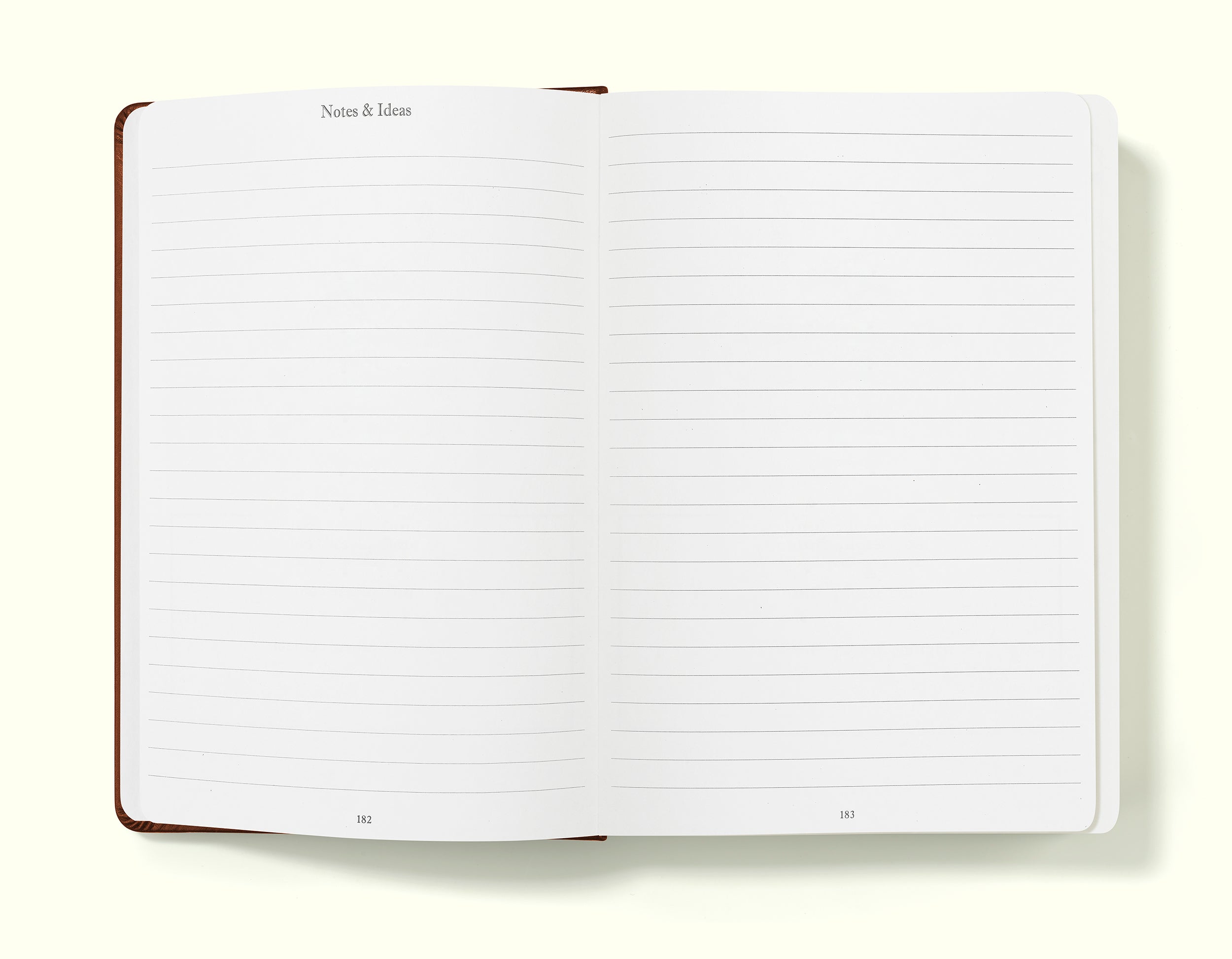 notes and ideas pages of brown financial planner and budgeting book in a5 on a blank background