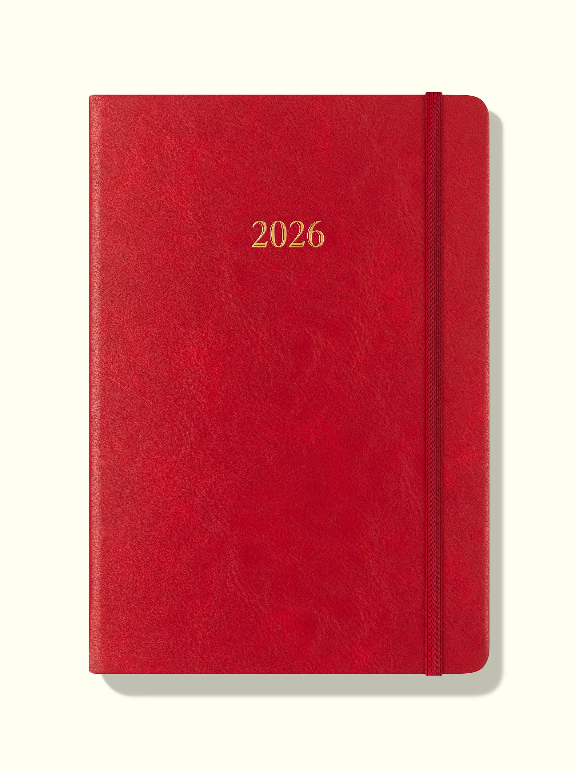 The Executive Journal – 2026 Daily Planner and Diary