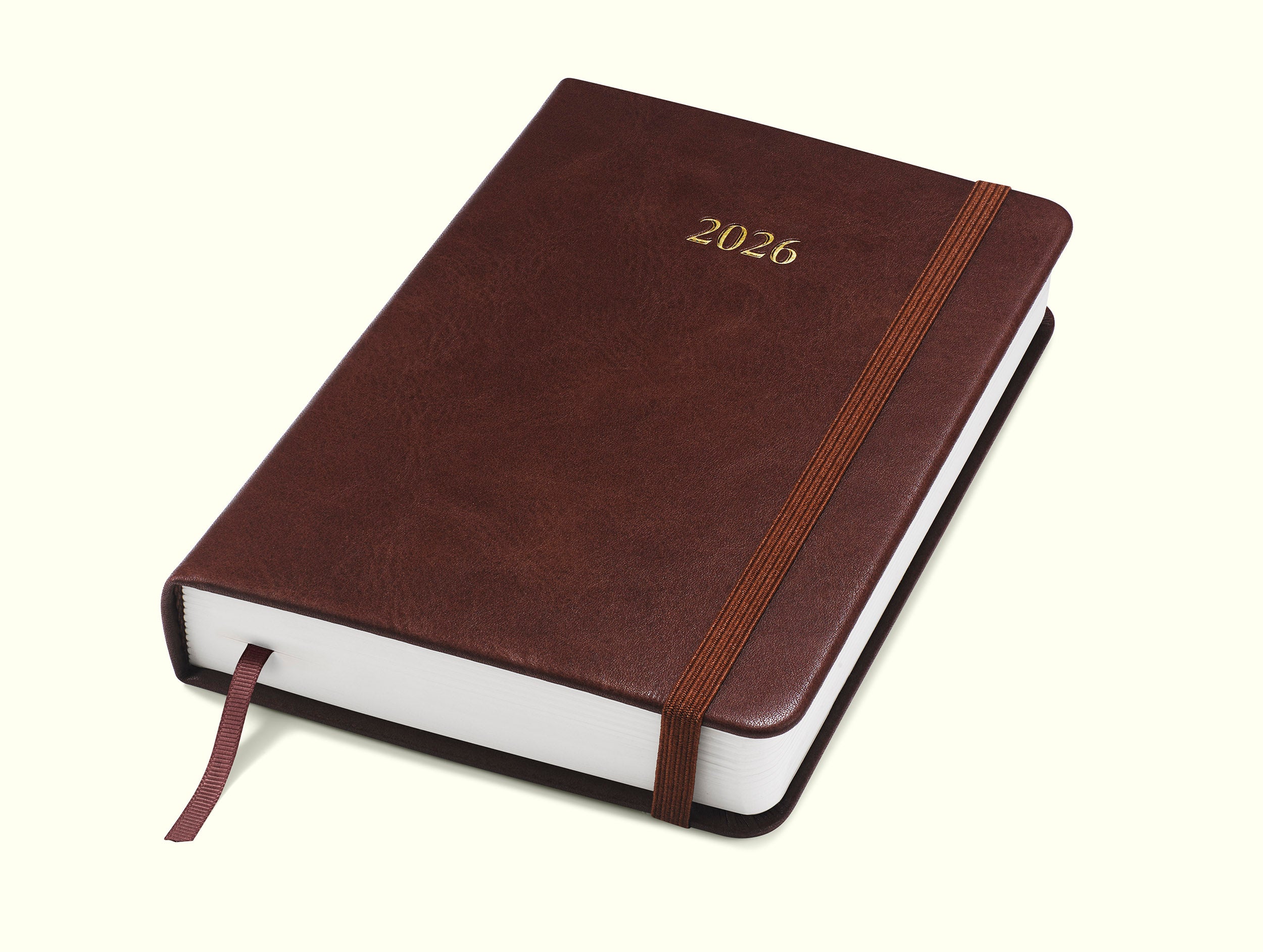 The Executive Journal – 2026 Daily Planner and Diary