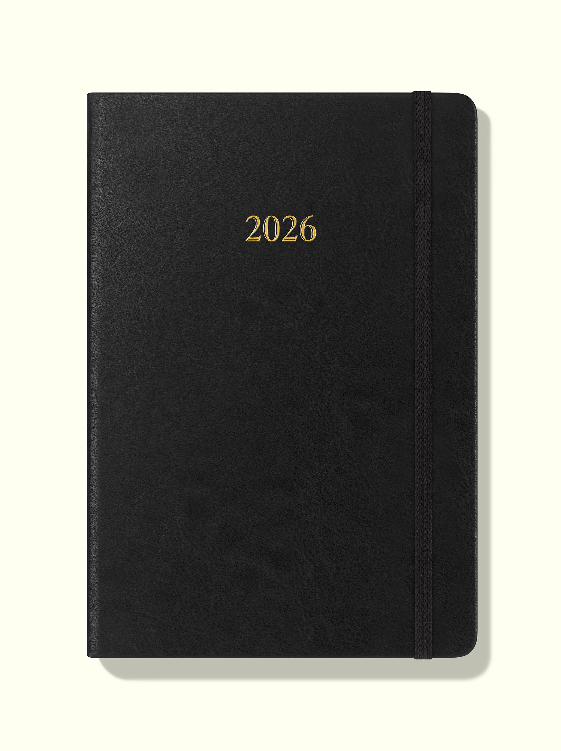 The Executive Journal – 2026 Daily Planner and Diary