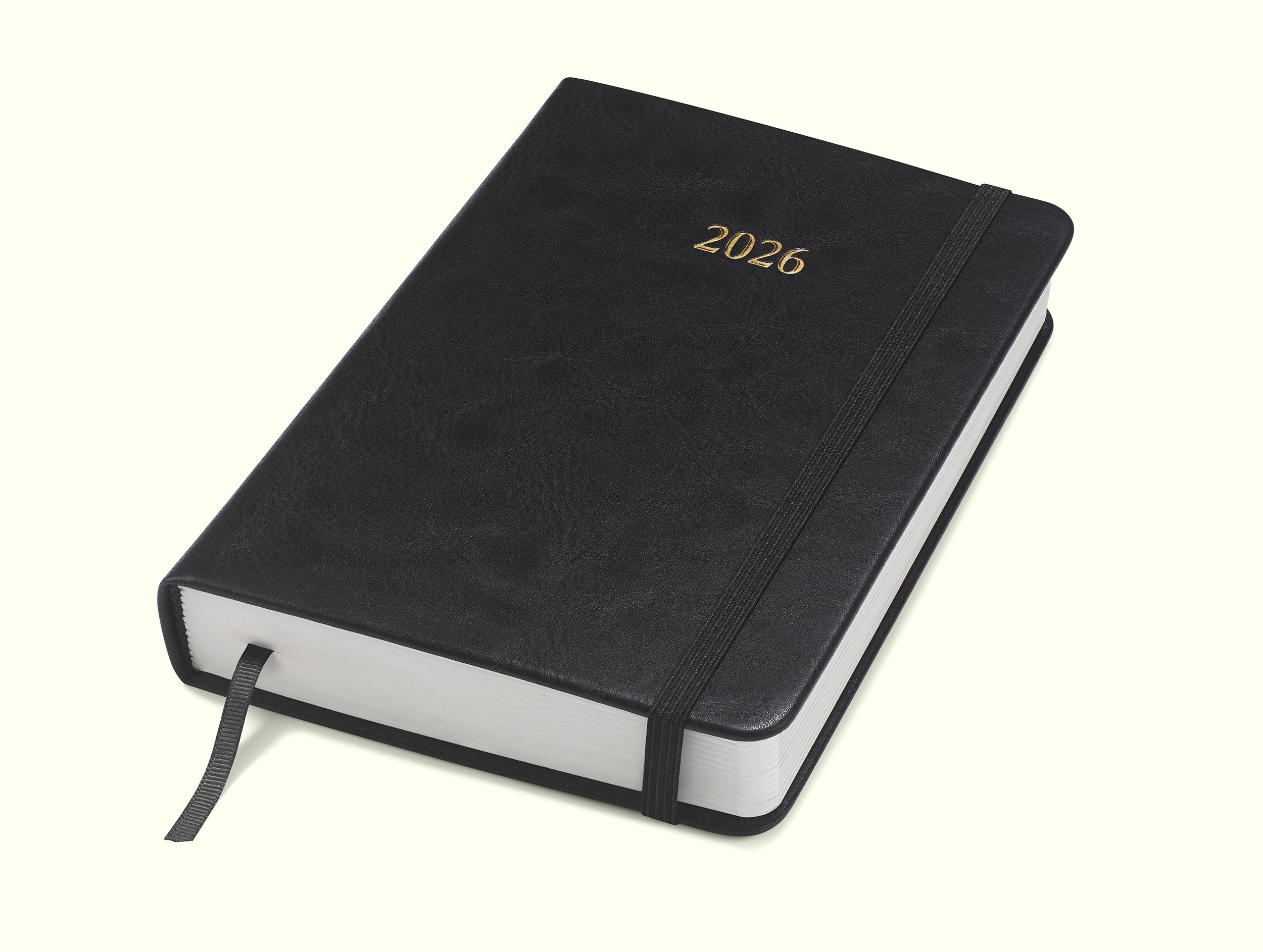 The Executive Journal – 2026 Daily Planner and Diary