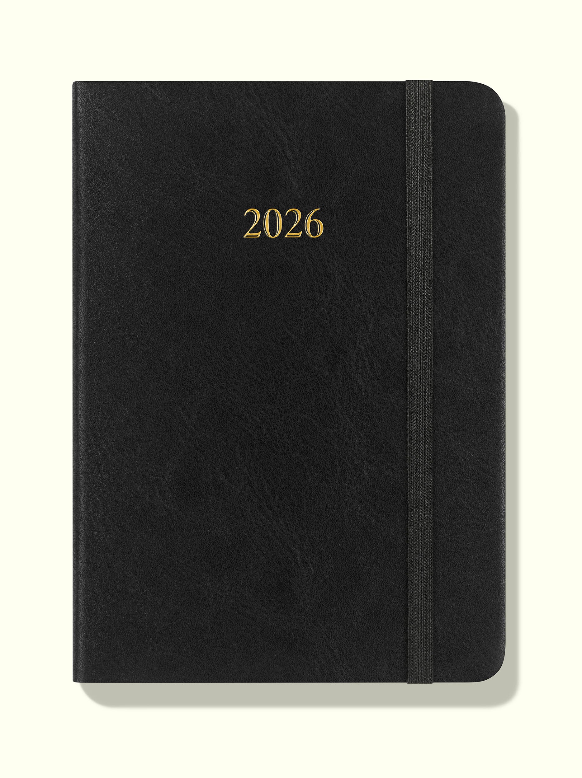 The Executive Journal – 2026 Daily Planner and Diary