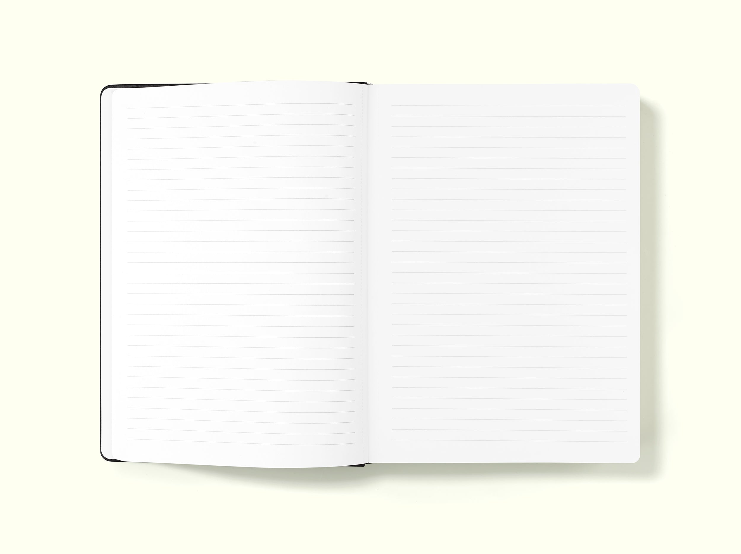 The Executive Notebook