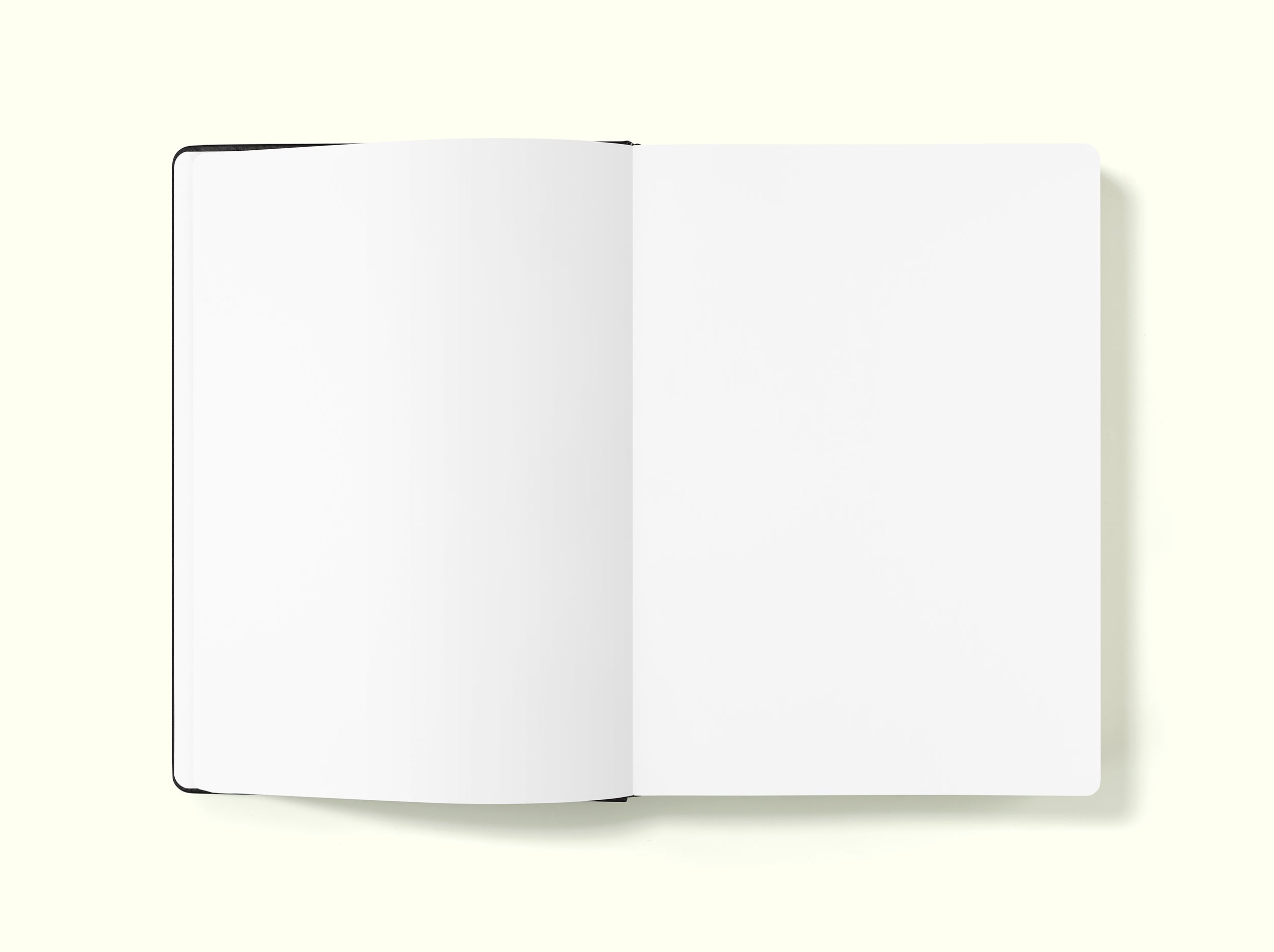 The Executive Notebook