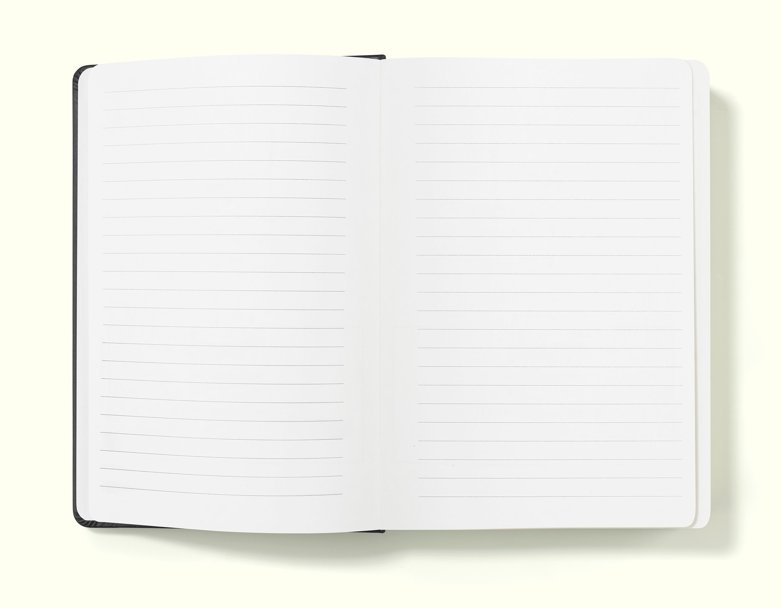 The Executive Notebook