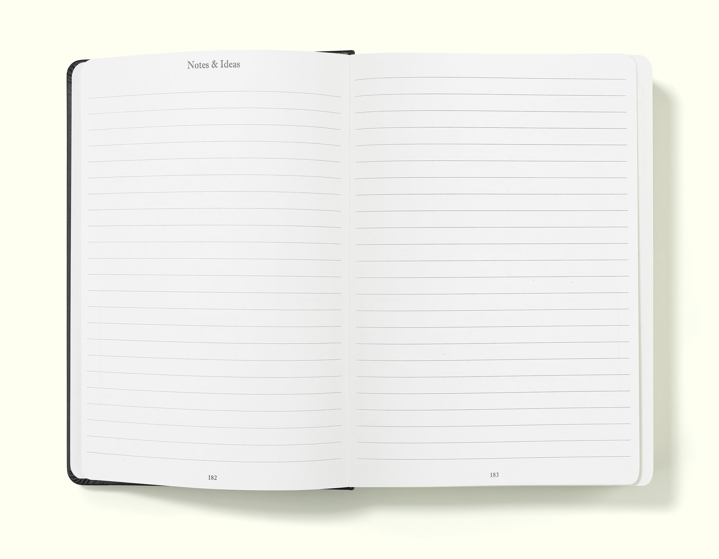 notes and ideas pages of black financial planner and budgeting book in a5 on a blank background