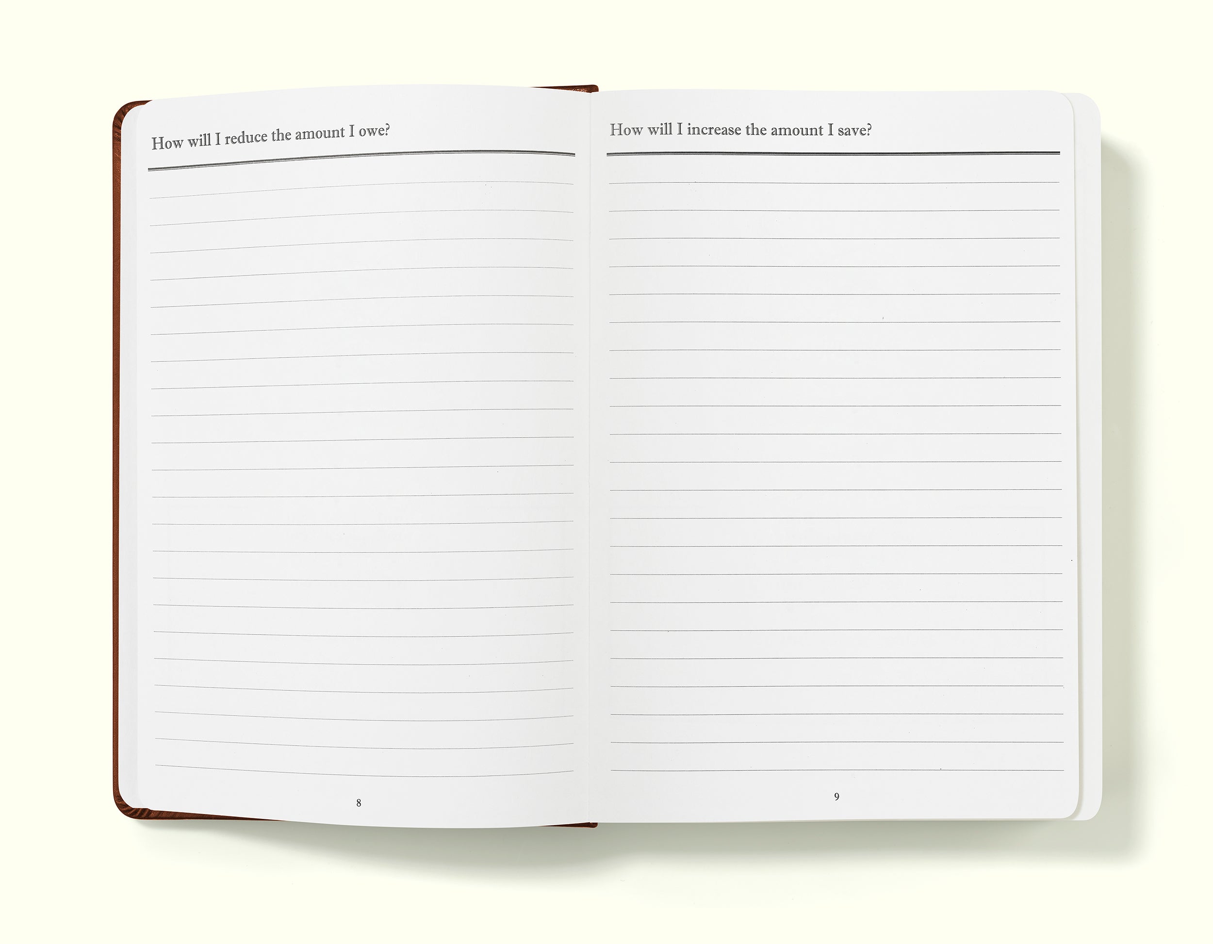 debt reduction and savings goals pages of brown financial planner and budgeting book in a5 on a blank background