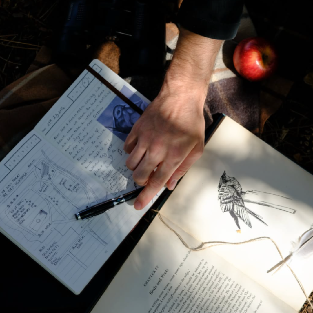 The Evolution of Nature Journaling – And Why It Could Be For You
