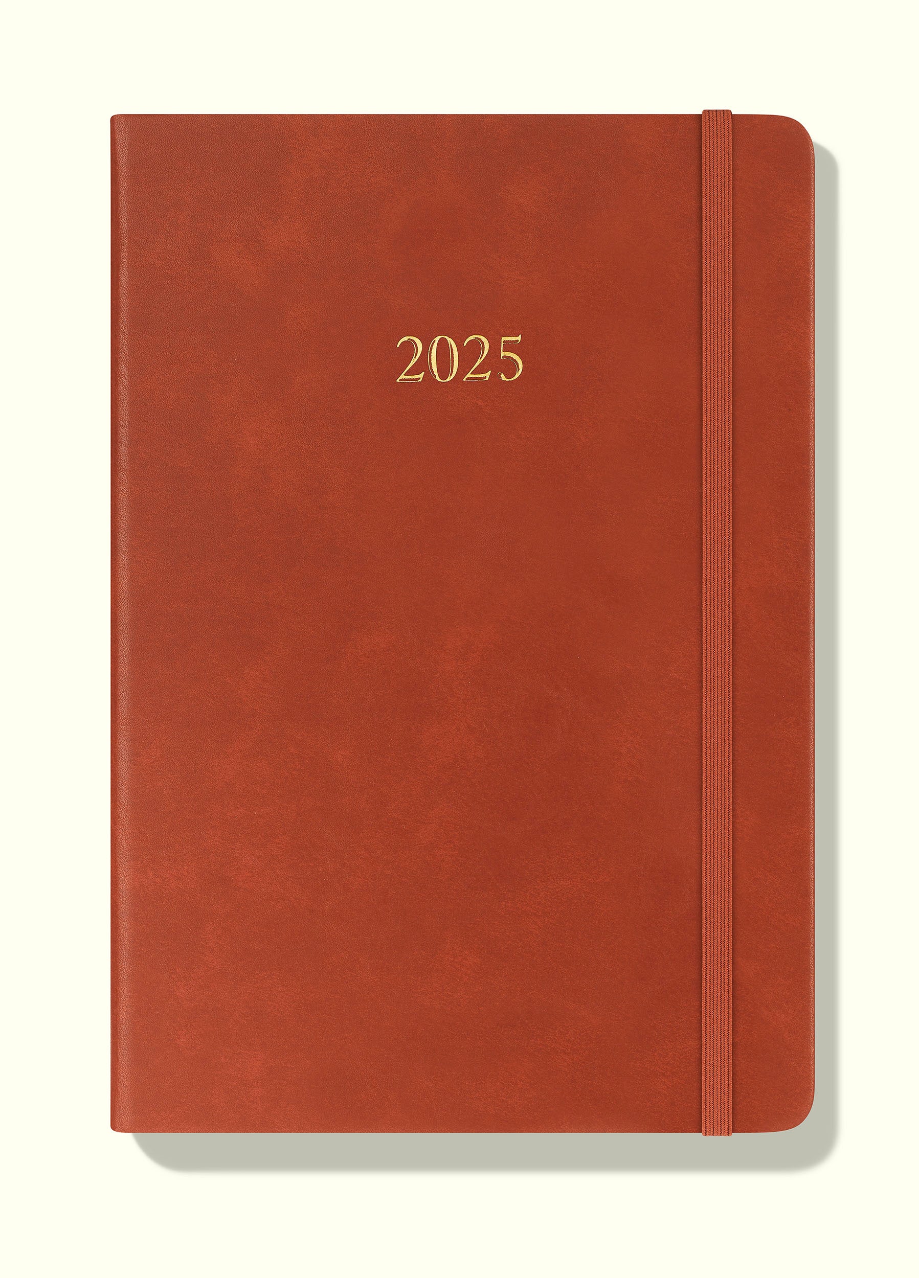 The Executive Journal – 2025 Daily Planner and Diary