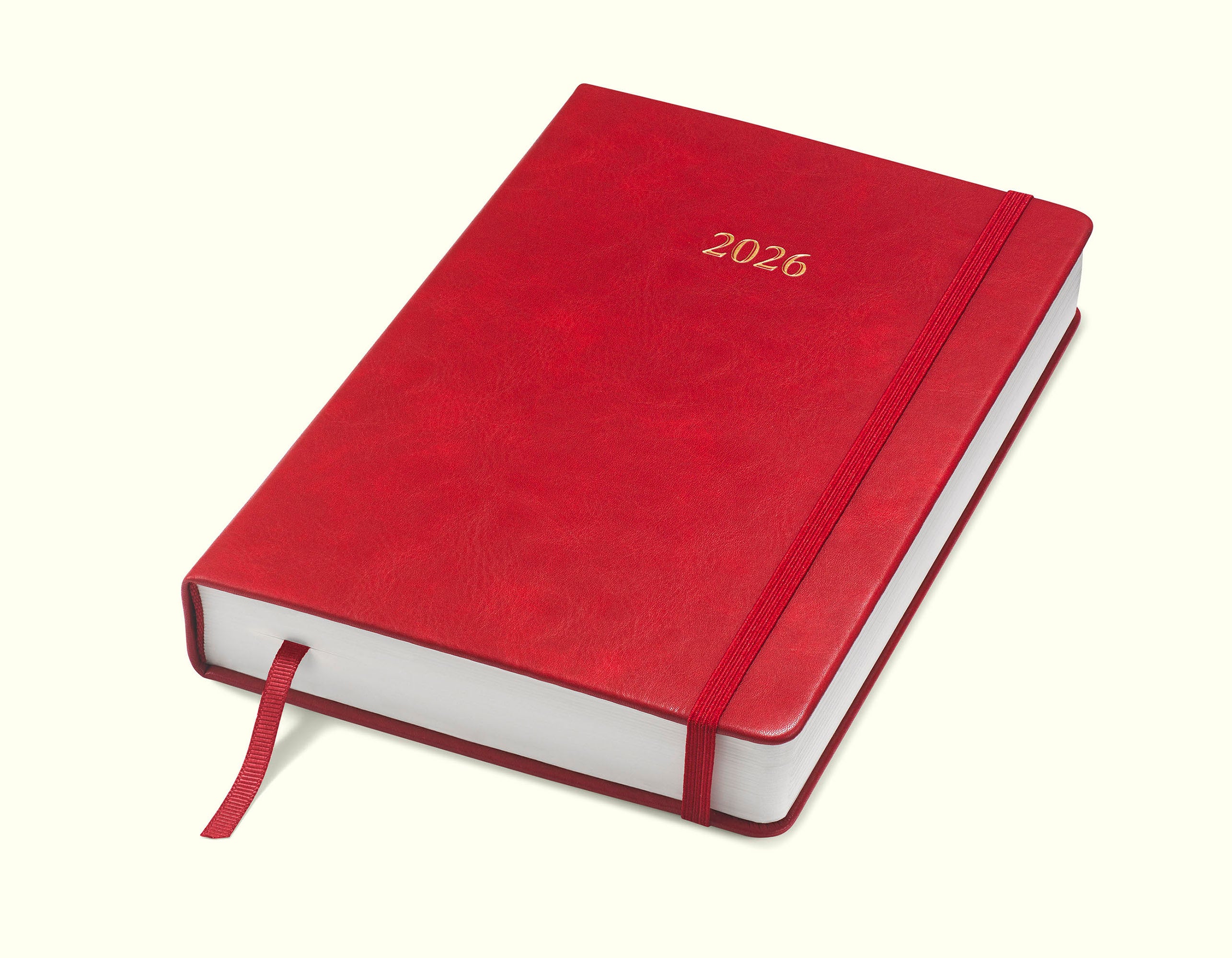The Executive Journal – 2026 Daily Planner and Diary