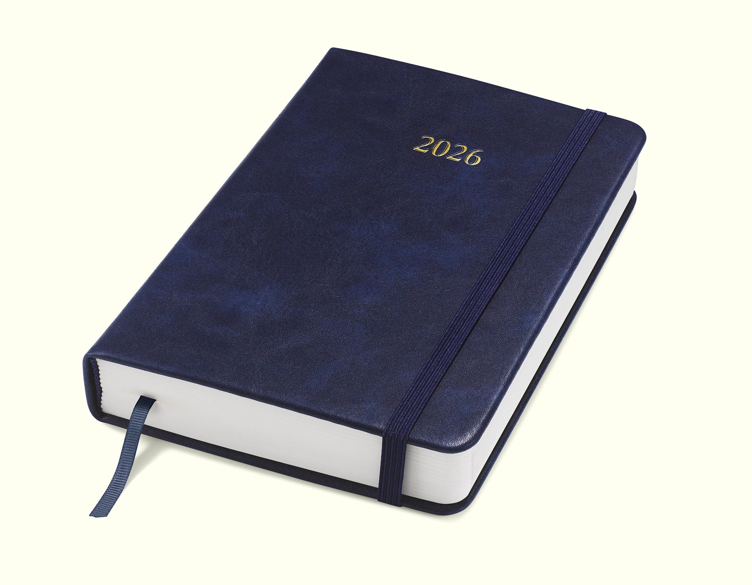 The Executive Journal – 2026 Daily Planner and Diary
