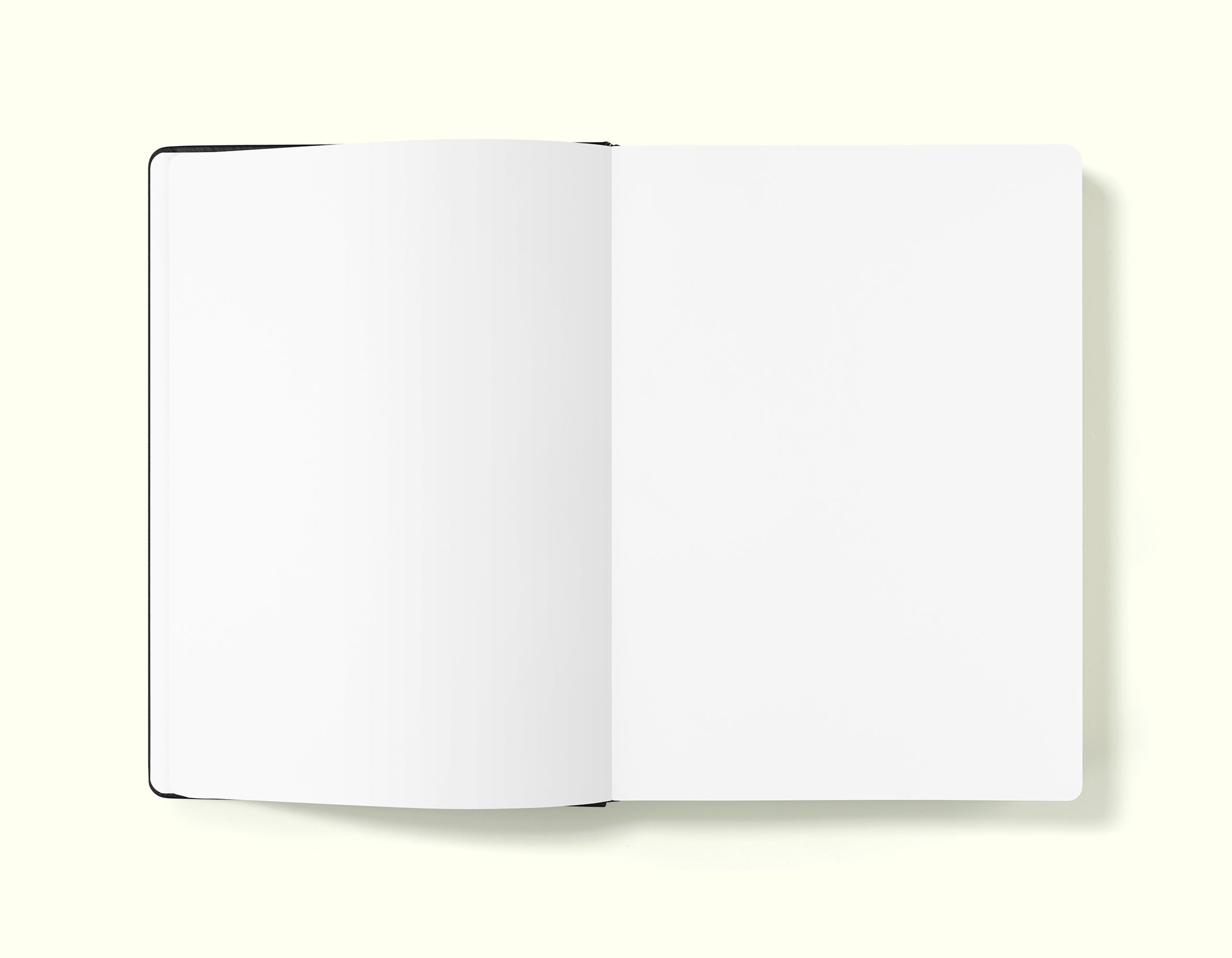 The Executive Notebook