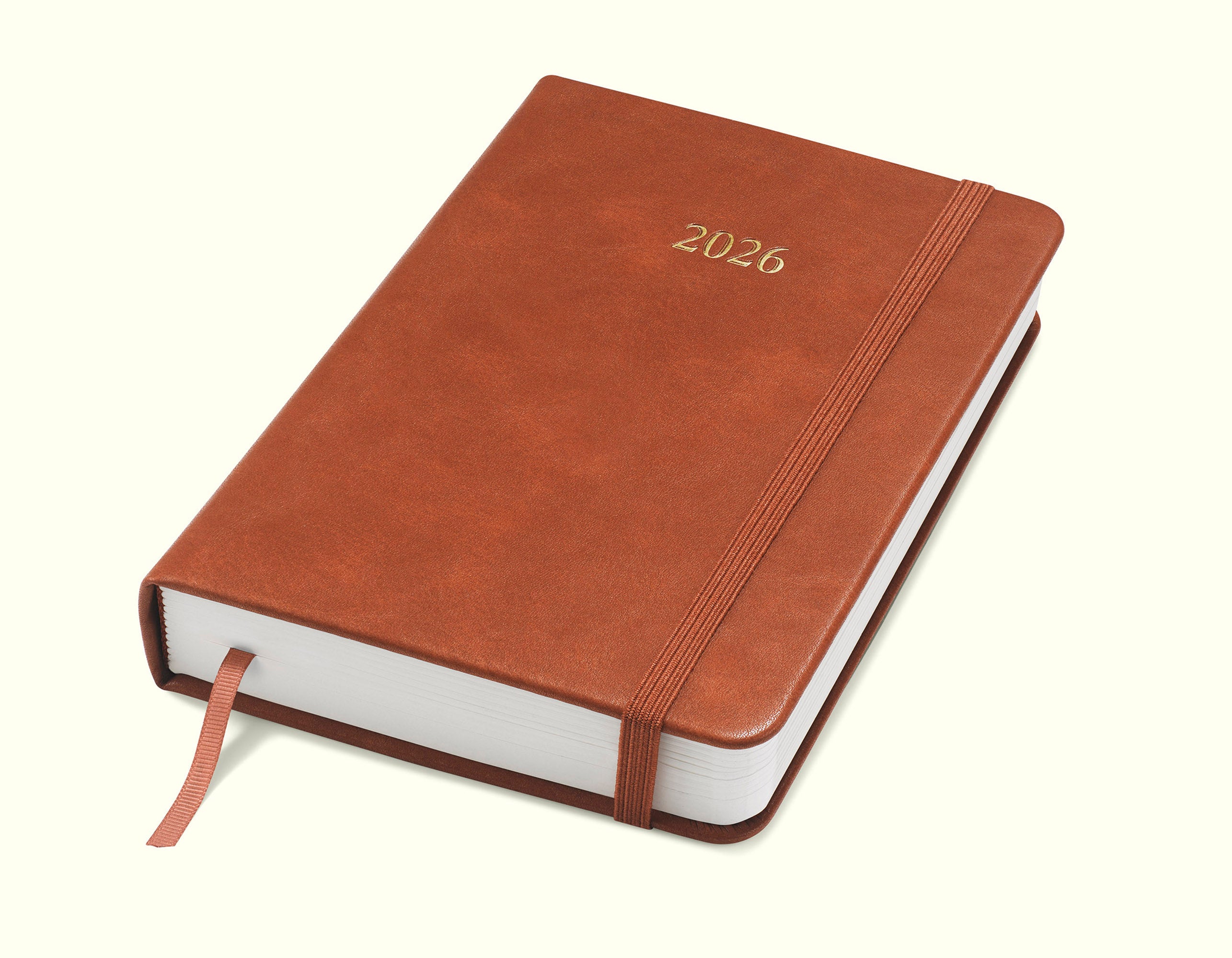 The Executive Journal – 2026 Daily Planner and Diary