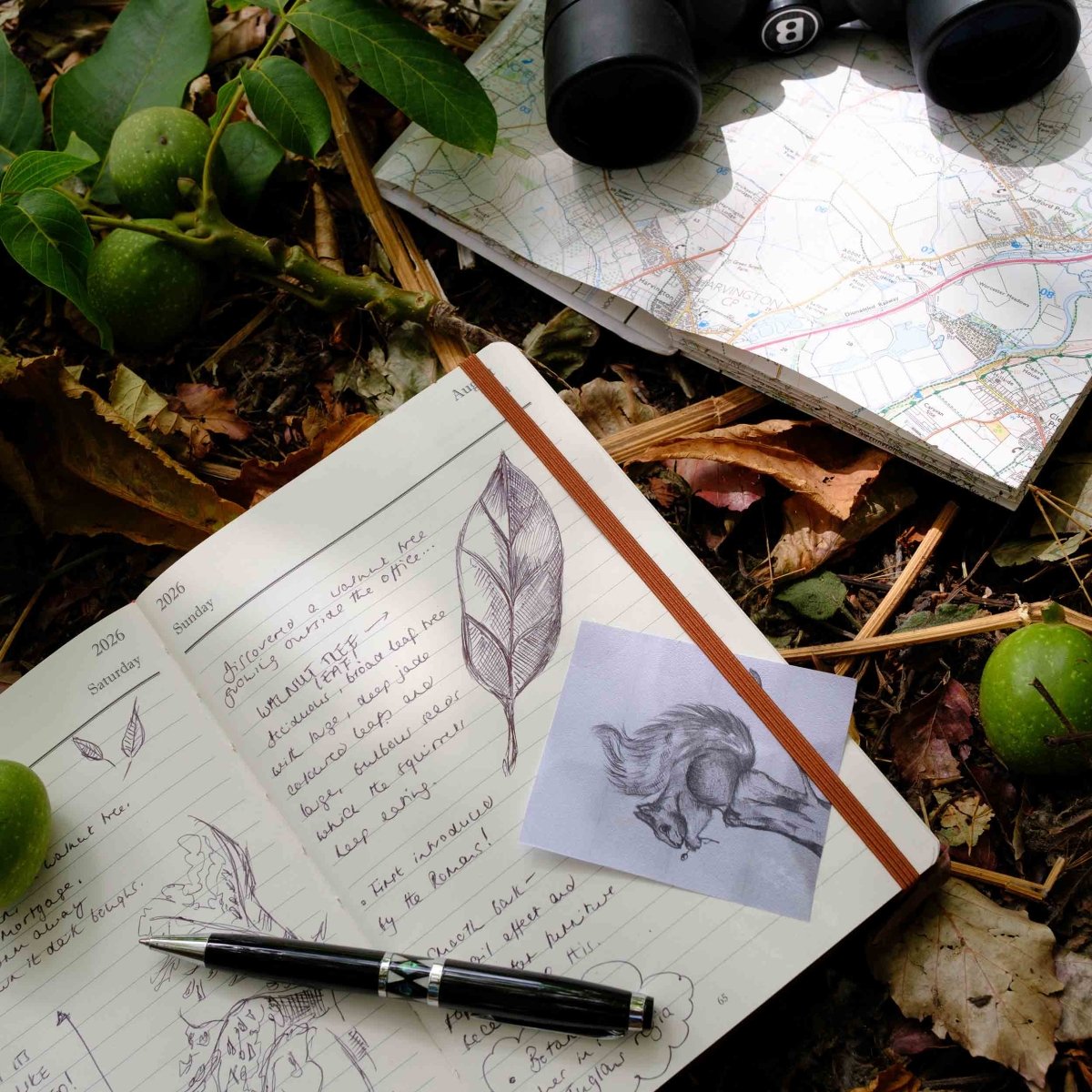 Mid-year journal pages with sketches and notes beside a map and pen