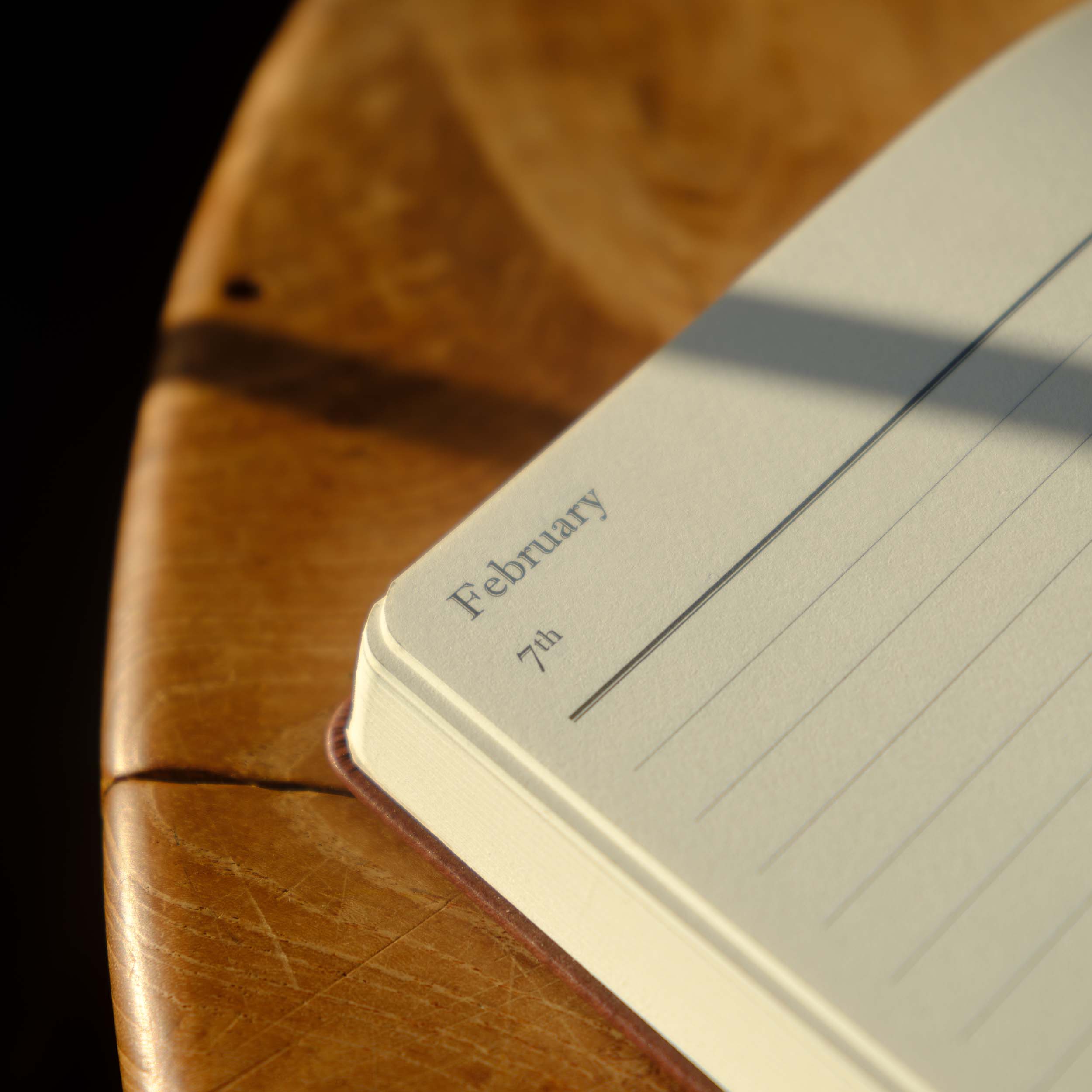 The Executive Journal - Mid-Year Edition - July 2026 to June 2027 – with US Public Holidays